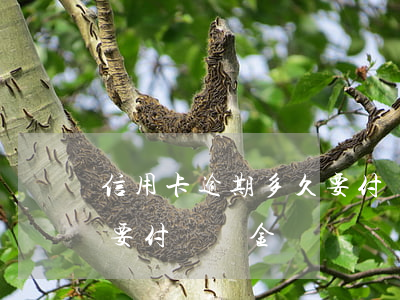 信用卡逾期多久要付違約金（信用卡逾期多久要付違約金）