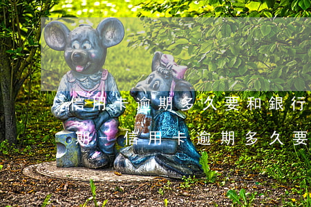 信用卡逾期多久要和銀行協(xié)商分期-信用卡逾期多久要和銀行協(xié)商分期還款