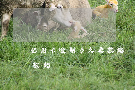 信用卡逾期多久要被起訴(信用卡逾期多久要被起訴?)