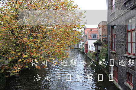 信用卡逾期多久解凍(逾期凍結(jié)的信用卡還能解凍嗎)