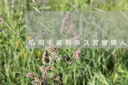 信用卡逾期多久警察抓人 被抓了信用卡逾期