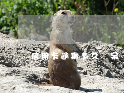 信用卡逾期多久變呆賬
