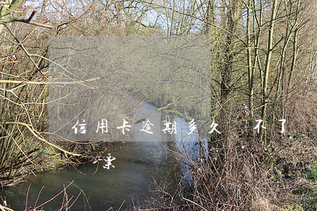 信用卡逾期多久買不了車票(逾期能不能買汽車票)