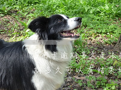 信用卡逾期多久走法务(找律师处理信用卡逾期多久可以有结果的)