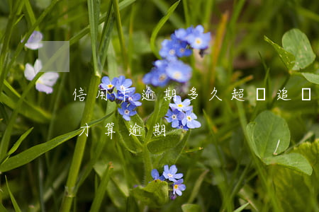 信用卡逾期多久超過追訴期(信用卡逾期多久才算逾期)