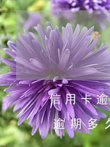 信用卡逾期多久身份證就是黑名單-信用卡逾期多久身份證就是黑名單了