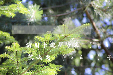 信用卡逾期多久車(chē)會(huì)被收走(車(chē)子逾期多久收車(chē))