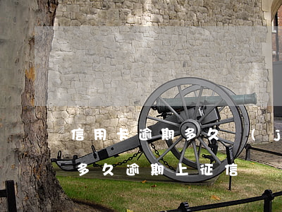 信用卡逾期多久進(jìn)入征信(信用卡多久逾期上征信)