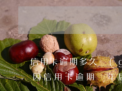 信用卡逾期多久過(guò)期了(因特殊原因信用卡逾期幾年后怎么辦)