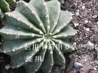 信用卡逾期多久過期(信用卡逾期多久過期不能用)