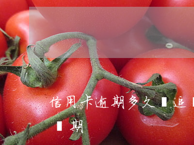 信用卡逾期多久過追訴 信用卡逾期多久過追訴期