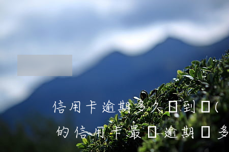 信用卡逾期多久達到關(guān)注 你們的信用卡最長逾期過多久