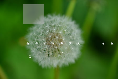 信用卡逾期多久違約金(信用卡逾期多久違約金)