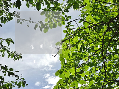 信用卡逾期多久還上沒事(有逾期情況為什么還能申請到信用卡)