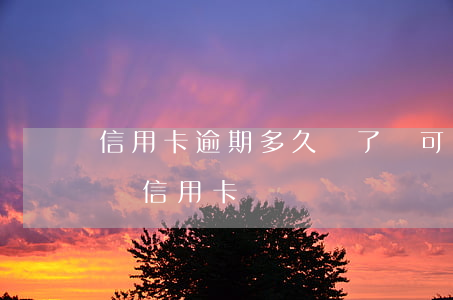 信用卡逾期多久還了還可以用(逾期過后還能辦信用卡)