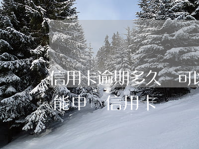 信用卡逾期多久還可以申請(逾期處理后多久能申請信用卡)