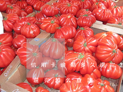 信用卡逾期多久還完怎么查 信用卡逾期多久還完怎么查詢