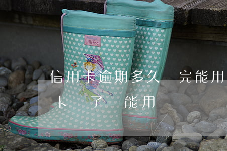 信用卡逾期多久還完能用嗎(逾期幾年的信用卡還了還能用嗎)