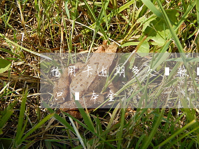 信用卡逾期多久還款沖抵本金(逾期時間長了只還本金)