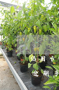 信用卡逾期多久還款還完還能用嗎-信用卡逾期多久還款還完還能用嗎有影響嗎
