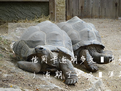 信用卡逾期多久還清(欠信用卡錢(qián)逾期了可以幾年再還嗎?)