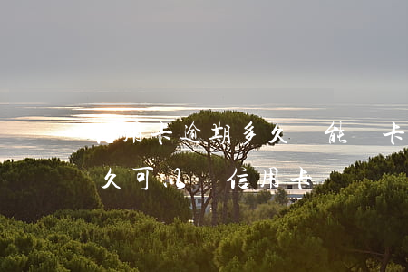 信用卡逾期多久還能辦卡(信用卡逾期還清多久可以辦信用卡)