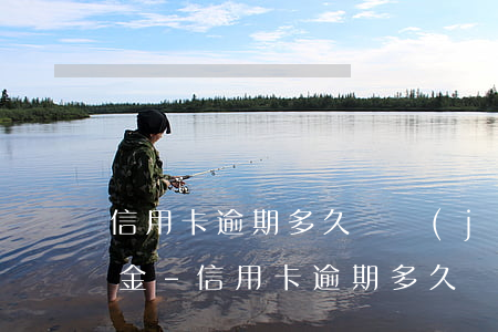 信用卡逾期多久還進(jìn)去的錢扣本金-信用卡逾期多久還進(jìn)去的錢扣本金了