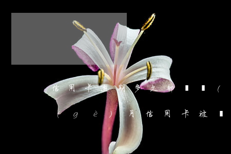 信用卡逾期多久都凍結(jié)(逾期一個(gè)月信用卡被凍結(jié))