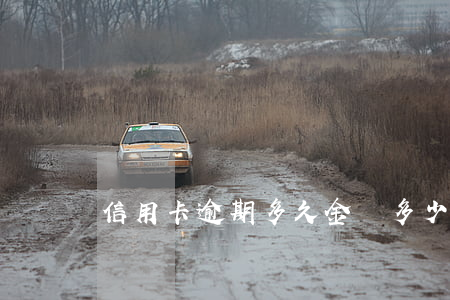 信用卡逾期多久金額多少會判刑