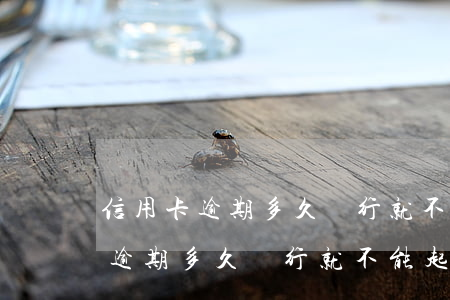 信用卡逾期多久銀行就不能起訴了-信用卡逾期多久銀行就不能起訴了呢