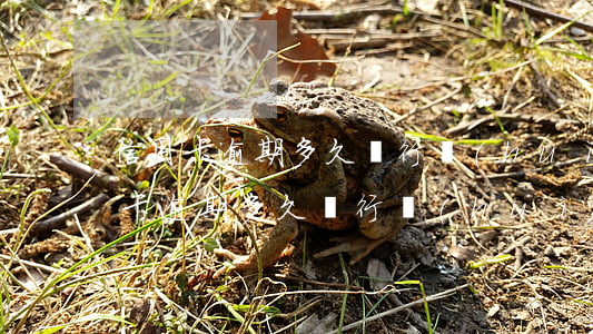信用卡逾期多久銀行會(huì)催收(信用卡逾期多久銀行會(huì)催收)