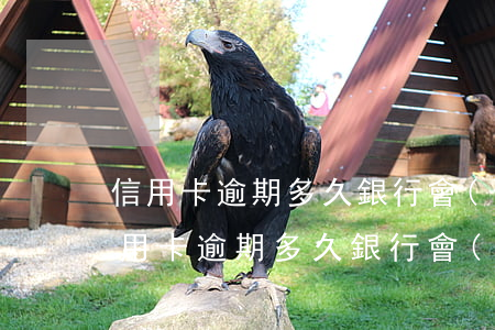 信用卡逾期多久銀行會(huì)封賬戶（信用卡逾期多久銀行會(huì)封賬戶）
