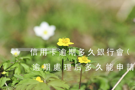 信用卡逾期多久銀行會(huì)收回卡片(逾期處理后多久能申請(qǐng)信用卡)