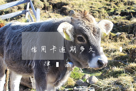 信用卡逾期多久銀行會(huì)發(fā)律師函