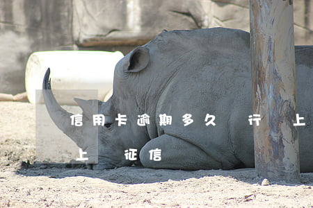 信用卡逾期多久銀行會上報(逾期多久銀行會上報征信)