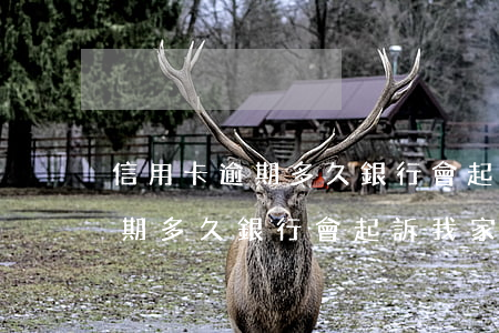 信用卡逾期多久銀行會起訴我家人(信用卡逾期多久銀行會起訴我家人)