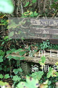 信用卡逾期多久開始停止收取利息-信用卡逾期多久開始停止收取利息?