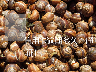 信用卡逾期多久開通-信用卡逾期多久開通征信