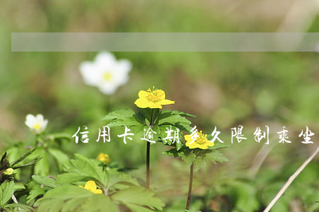 信用卡逾期多久限制乘坐火車(逾期了能坐火車嗎)