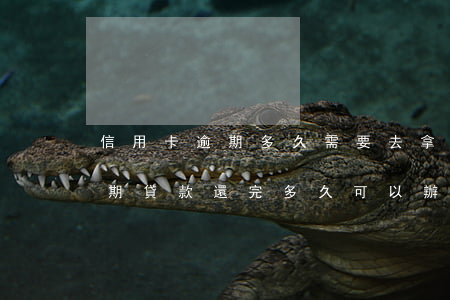 信用卡逾期多久需要去拿錢(qián)(逾期貸款還完多久可以辦信用卡)