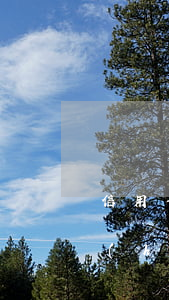 信用卡逾期多久額度取消-逾期了信用卡會(huì)降額嗎
