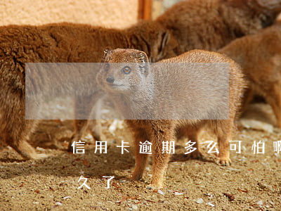 信用卡逾期多么可怕啊(你們的信用卡逾期多久了)