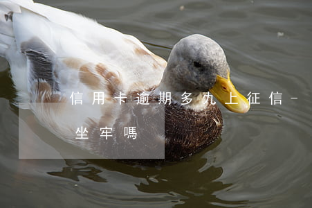 信用卡逾期多九上征信-9萬信用卡逾期會坐牢嗎