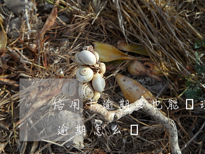 信用卡逾期多也能辦理房貸(辦房貸信用卡有逾期怎么辦)