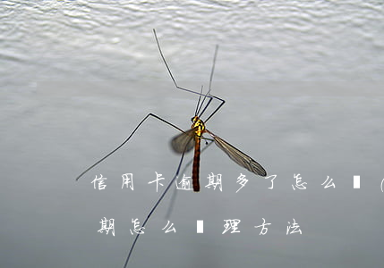 信用卡逾期多了怎么補(bǔ)救(信用卡逾期怎么處理方法)
