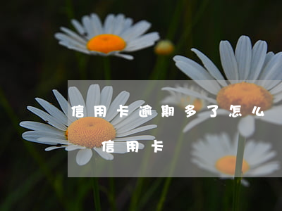 信用卡逾期多了怎么辦(有嚴重逾期記錄如何辦信用卡)