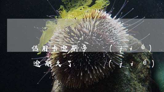 信用卡逾期多凍結(jié)(貸款及信用卡逾期久了會凍結(jié)名下所有卡嗎)