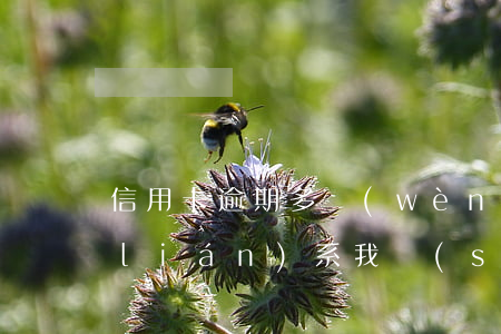 信用卡逾期多問(wèn)律師 有律師聯(lián)系我說(shuō)信用卡逾期起訴了