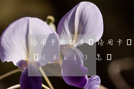 信用卡逾期多嗎(信用卡嚴(yán)重逾期會(huì)怎樣)