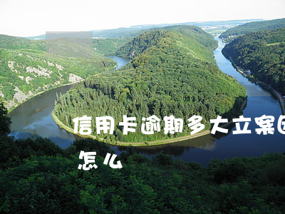 信用卡逾期多大立案(因刑事案件信用卡逾期怎么辦)